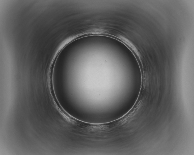 X0000113261437200909101450