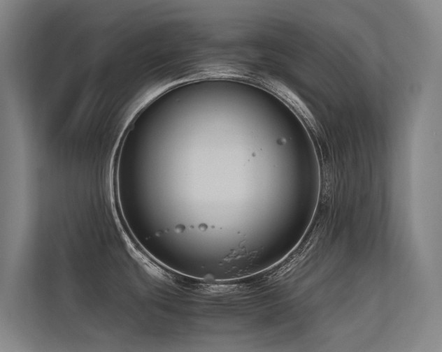 X0000113261439200909101450