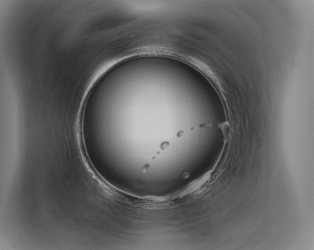 X0000113261440200909101450