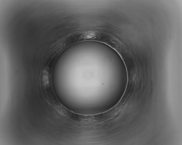 X0000113261442200909101449