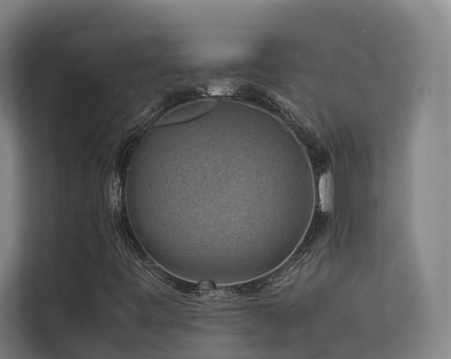 X0000113261443200909101449