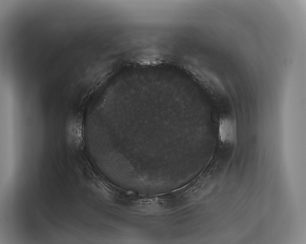 X0000113261444200909101449