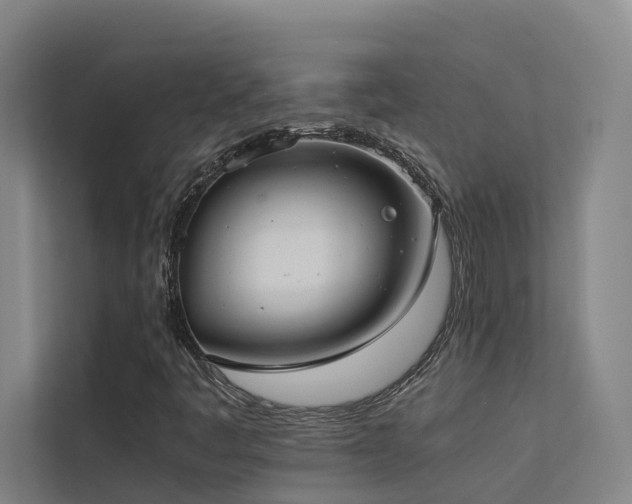 X0000113261445200909101449