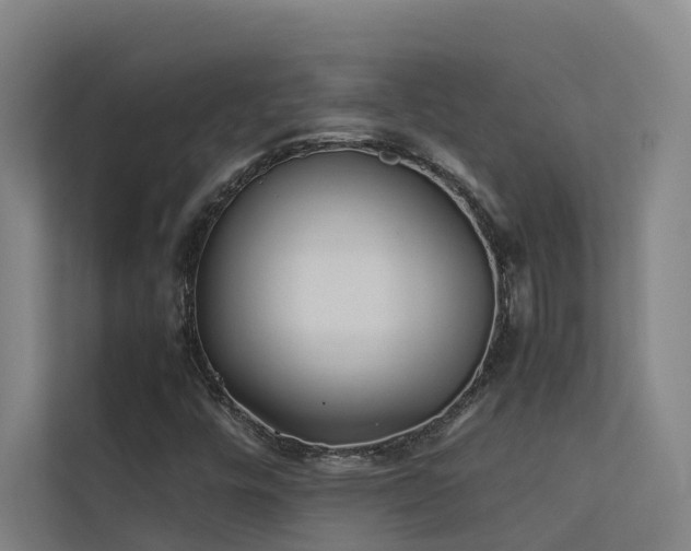 X0000113261448200909101449