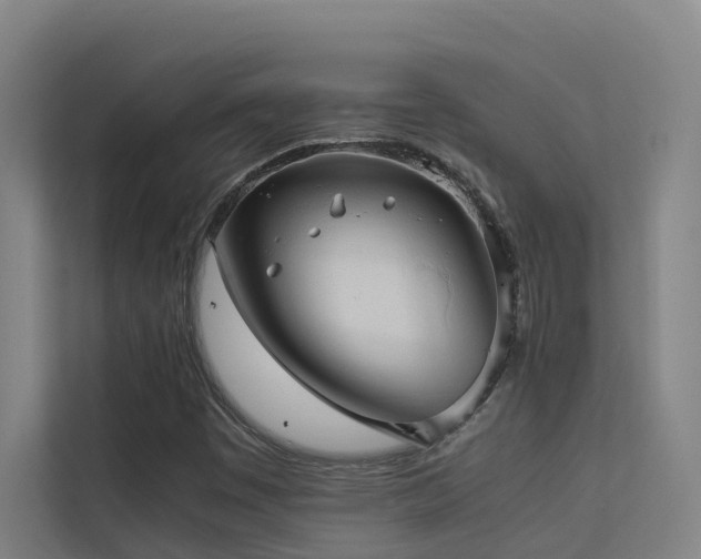 X0000113261449200909101449