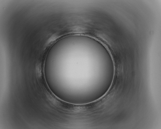 X0000113261451200909101449