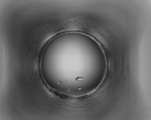 X0000113261452200909101449