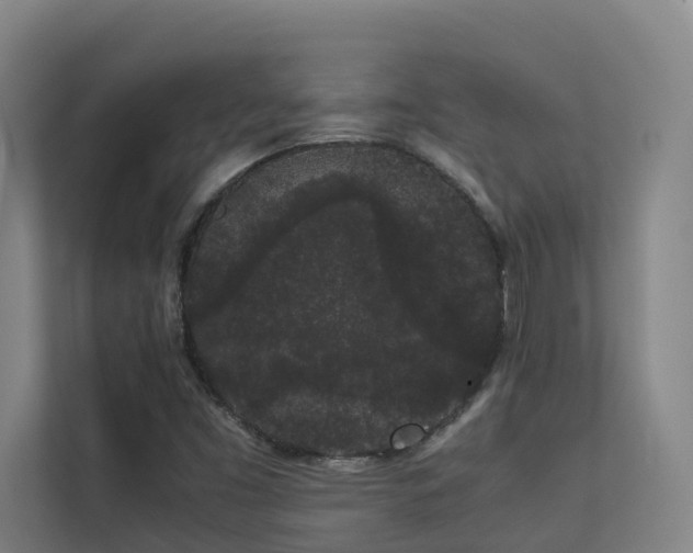 X0000113261453200909101449