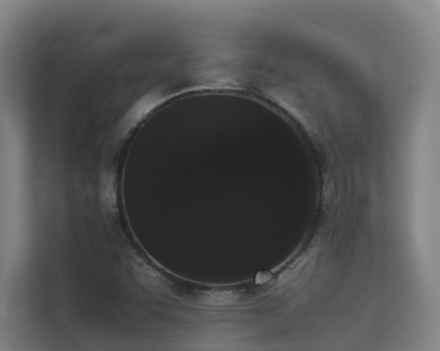 X0000113261455200909101449