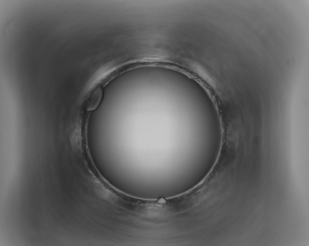 X0000113261456200909101449