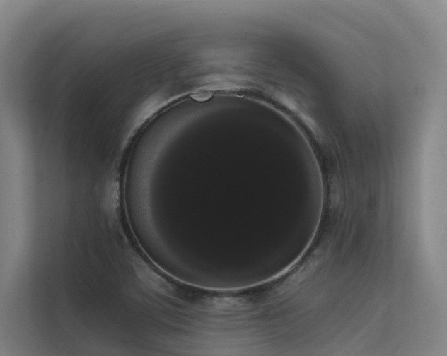 X0000113261459200909101449