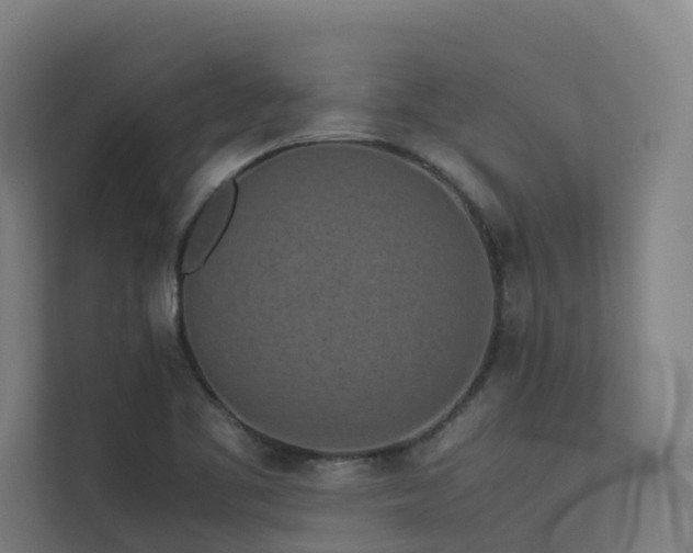 X0000113261461200909101449