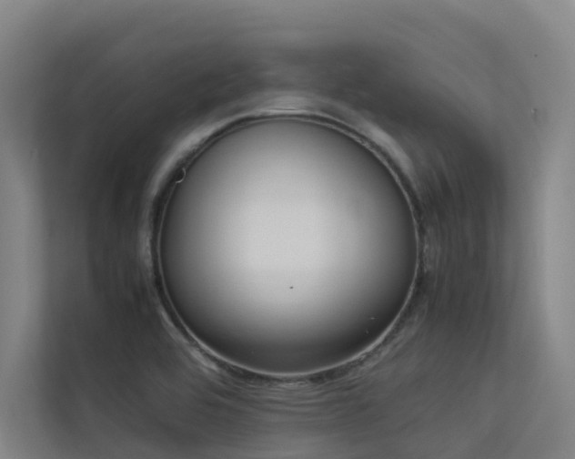 X0000113261464200909101449