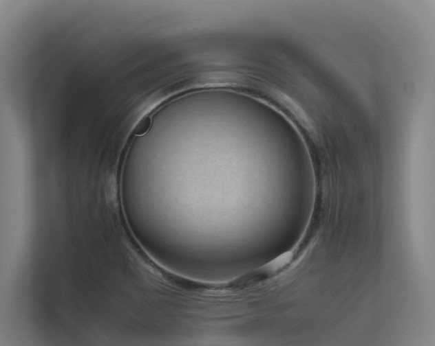 X0000113261465200909101449