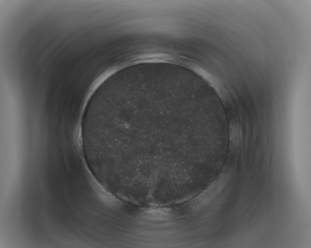 X0000113261466200909101449