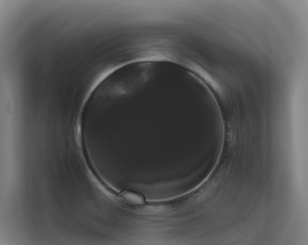 X0000113261468200909101449