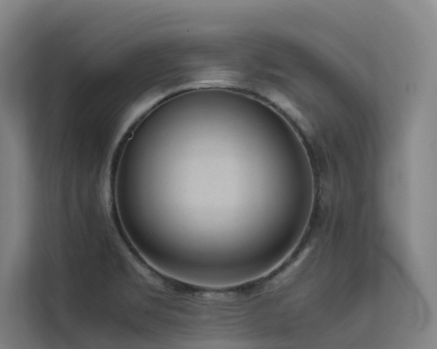 X0000113261469200909101449