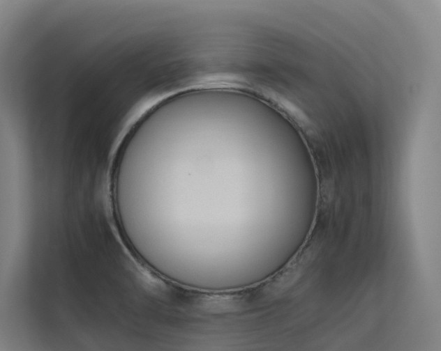 X0000113261470200909101449