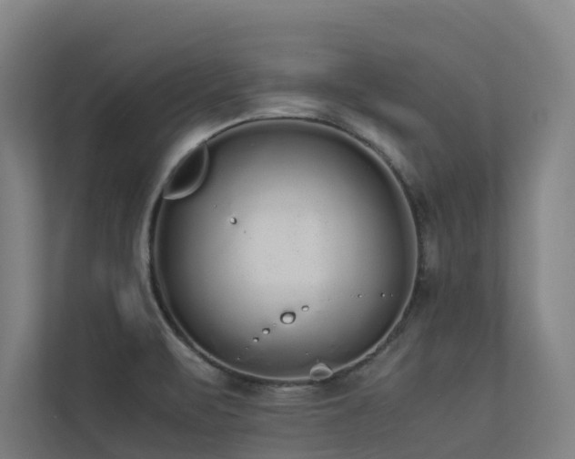 X0000113261471200909101449