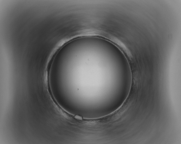 X0000113261472200909101449