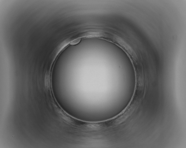 X0000113261473200909101449