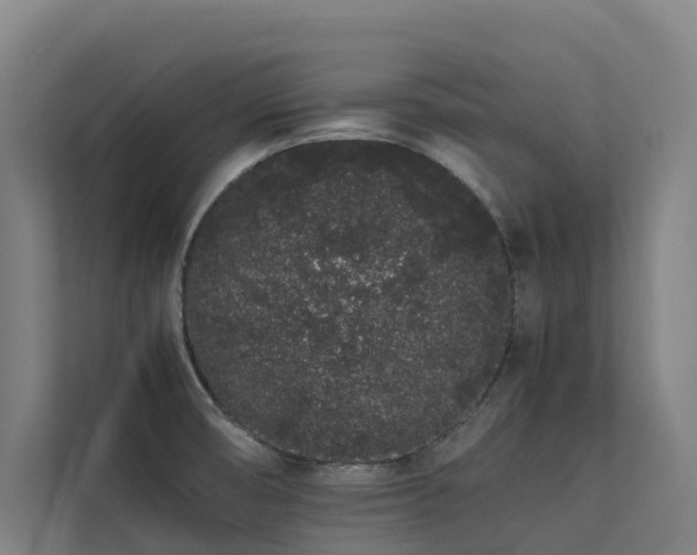 X0000113261474200909101449