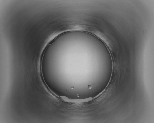 X0000113261477200909101449