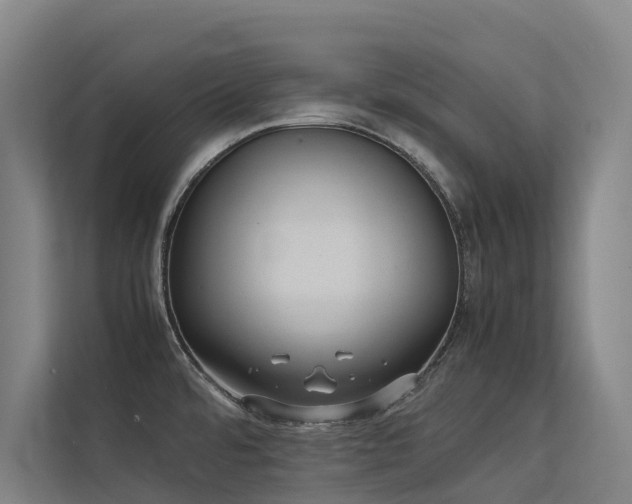 X0000113261480200909101449