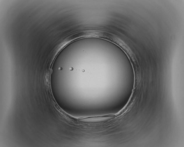 X0000113261481200909101449