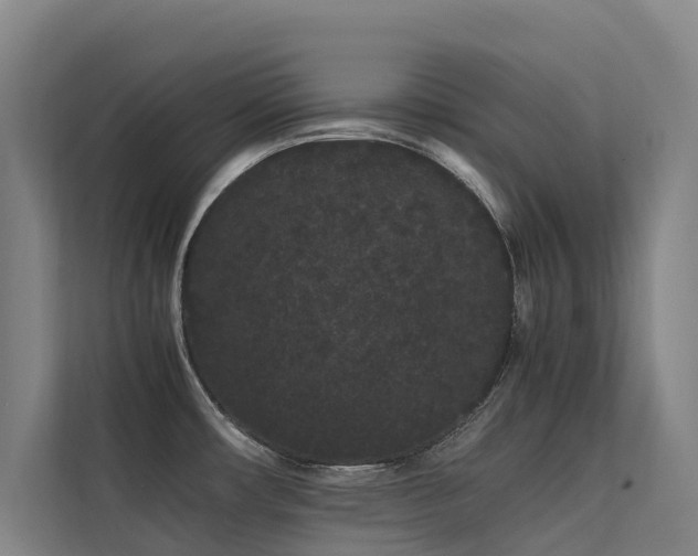 X0000113261482200909101449