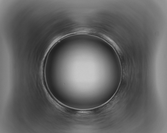 X0000113261483200909101449