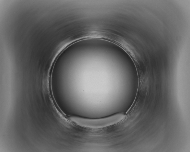 X0000113261484200909101449