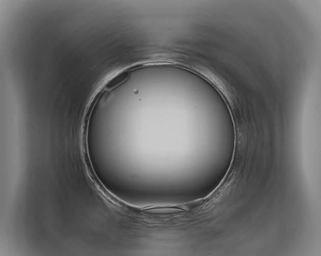 X0000113261485200909101449