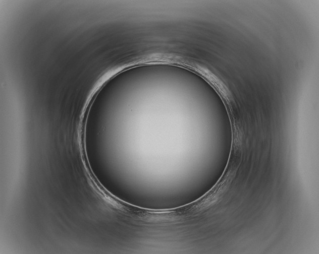 X0000113261486200909101449