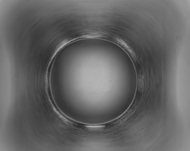 X0000113261487200909101449