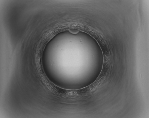 X0000113261489200909101448