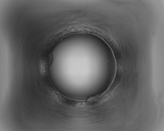 X0000113261490200909101448