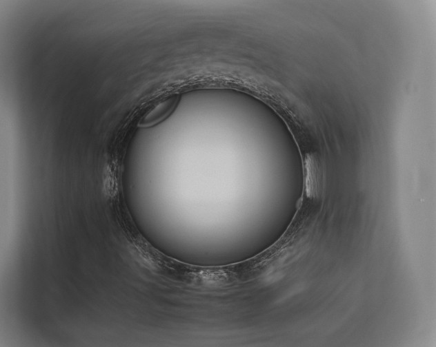 X0000113261491200909101448