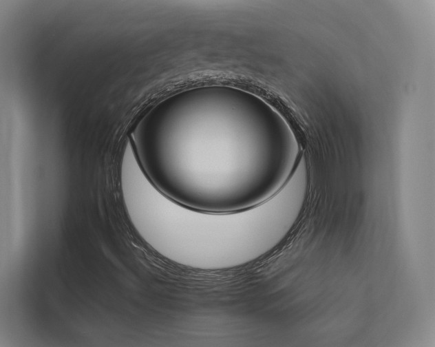 X0000113261492200909101448