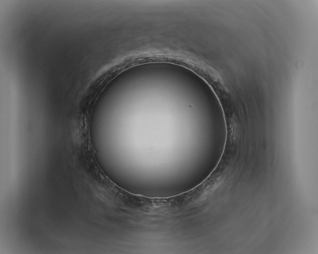 X0000113261494200909101448