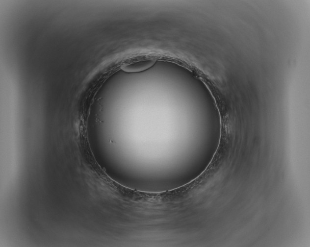 X0000113261495200909101448