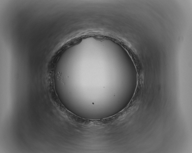 X0000113261496200909101448