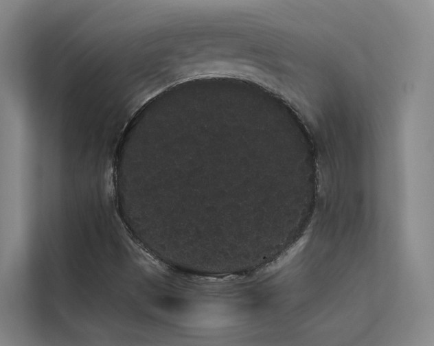 X0000113261497200909101448