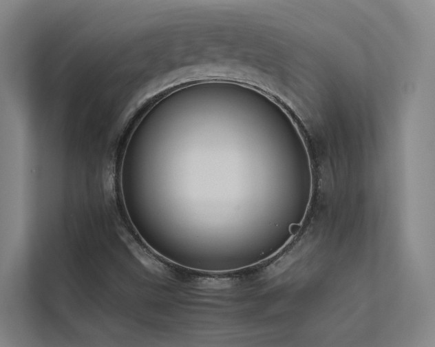 X0000113261499200909101448