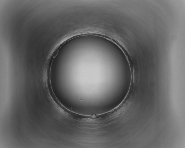 X0000113261500200909101448