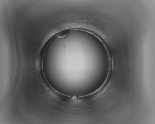 X0000113261501200909101448