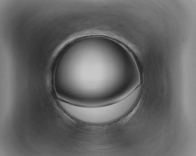 X0000113261502200909101448