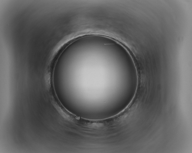 X0000113261503200909101448