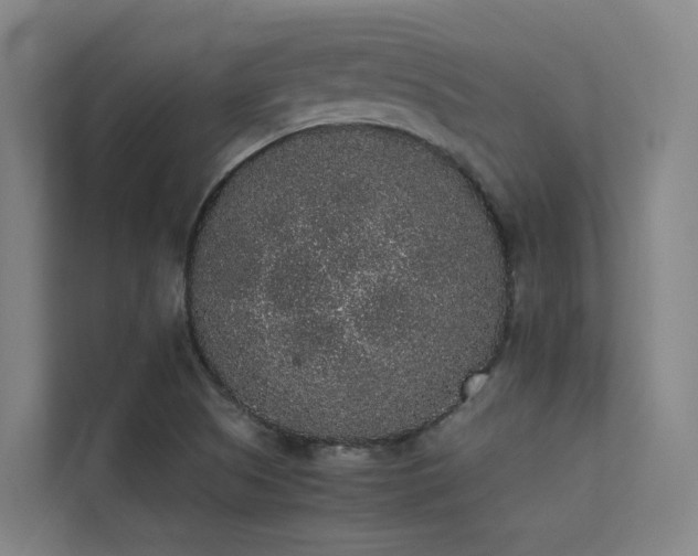 X0000113261505200909101448