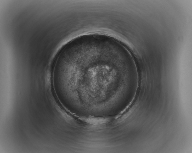 X0000113261506200909101448